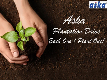 Plantation Drive